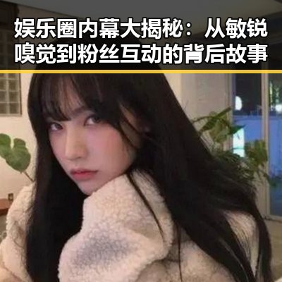 娱乐圈内幕大揭秘：从敏锐嗅觉到粉丝互动的背后故事