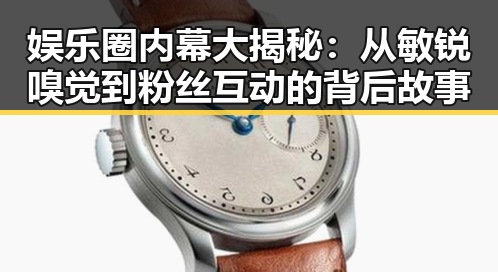 娱乐圈内幕大揭秘：从敏锐嗅觉到粉丝互动的背后故事
