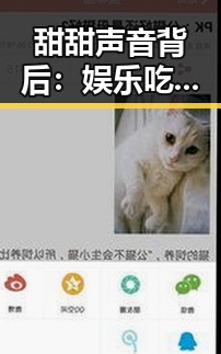 甜甜声音背后：娱乐吃瓜酱的崛起与影响