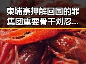 柬埔寨押解回国的罪集团重要骨干刘忍曝光,香港艺人黄百鸣今日即刻入狱引发关注